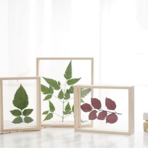 Modern Painted Floating Transparent Double Sided Glass Wooden Acrylic Specimen Shadow Box Photo Frame Decorations