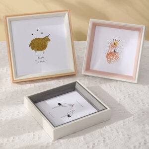 Modern Pink Plastic Frame Memory Display Cabinet 3cm Depth Dried Flower Souvenir Photo Frames Shadow Box Picture Frame