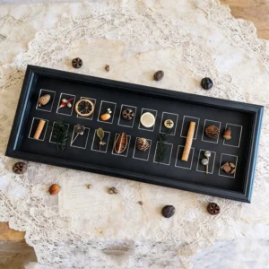Multi grid Hollow DIY Shadow Box Handmade Artwork Dried Flower Plant Specimen 3D Display Picture Frame