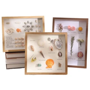 New Arrival Black Wood Photo Display Frames Shadow Box with Glass for Pictures