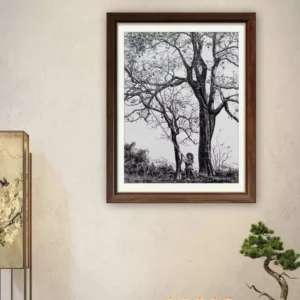 New Arrival Poster Wooden Picture Frame Multi Color with Photo Frames for Home Decor