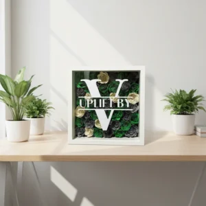 New Design Modern Creative Natural Wood & Brass Shadow Box Photo Frame for Flower & Portrait Home Decoration Gift