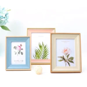 PS Plastic Photo Frames 10×10