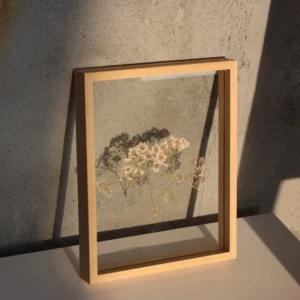 Pinewood Floating Frame with Birch Veneer Double Sided Glass Frame for Pressed Flowers Posters Signage 5×7 8×10 11×14 Inch