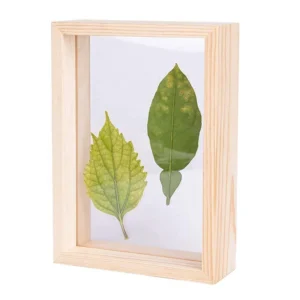 Qumazhu PJF Colorful Fashionable Transparent Double Sided Glass Wooden Floating Photo Frame Home Decoration Customized