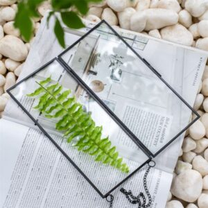 Rectangle Shape Clear Glass Photo Holder Brass Frame Black Coated Wall Decor for Home and Restaurants