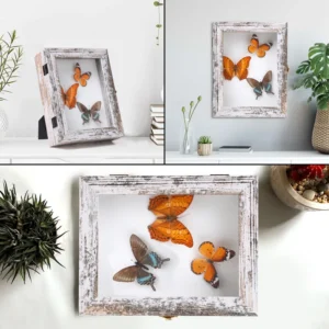 Rustic White Butterfly & Flower Frame Wood Photo Frame with 3 Pins Eco Friendly Handmade Shadow Box 7.2×9.2 Inch