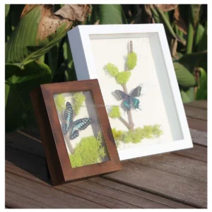 Shadow Box Frame High Quality Price Decorative Box Frames for Hand Casting
