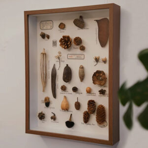 Shadow Box Frames Handmade Square Wooden Photo Frame with Hollow for Dried Flower and Shell Collection