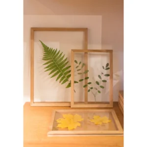 Solid Wood Floating Photo Frame for Double Glass Display Pressed Flower Art Wall Mount