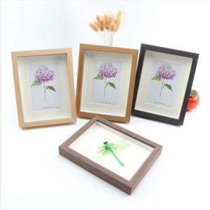 Solid Wood Photo Frame Set Multi Color Deep Shadow Box Botanical Specimen Display Frame OEM Custom Bulk