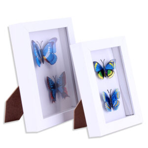 Specimens 3d Box White Plastic Frames A4 Shadow Box Display Frame