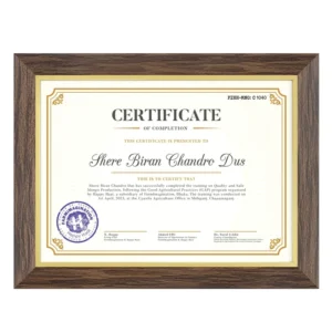 Walnut Finish Diploma Frame with Tempered Glass for Document and Certificate Display