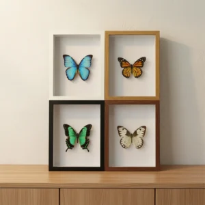 Wholesales Custom Frame MDF 3D Display Wall Hanging White Black Natural Walnut 5×7 6×8 8×10 Inch Shadow Box Frames With Glass