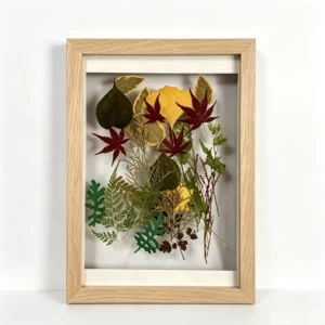 Wooden Pressed Flower Double Side Frame Floating A4 Picture Photo Frames